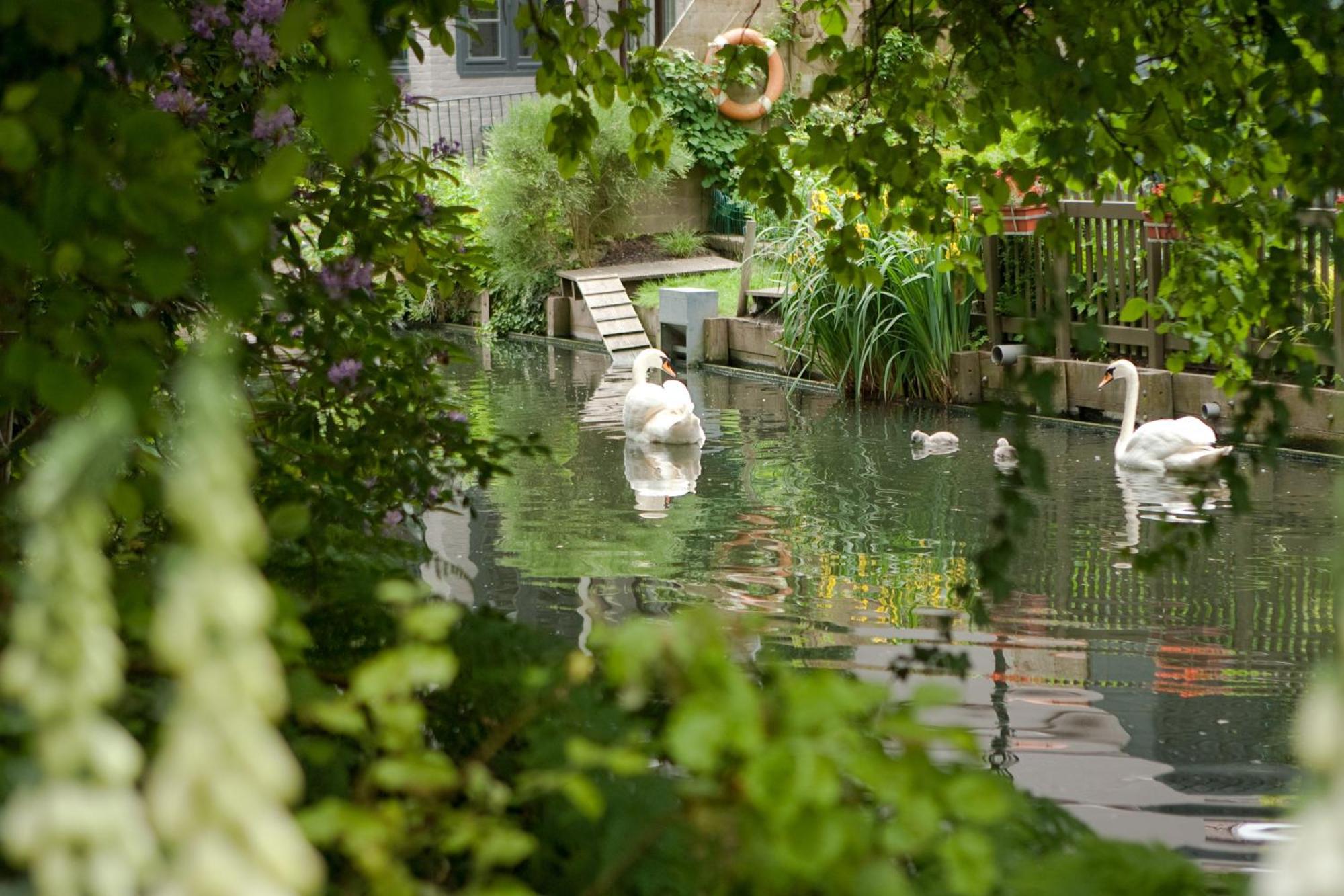 Canal Deluxe Brügge